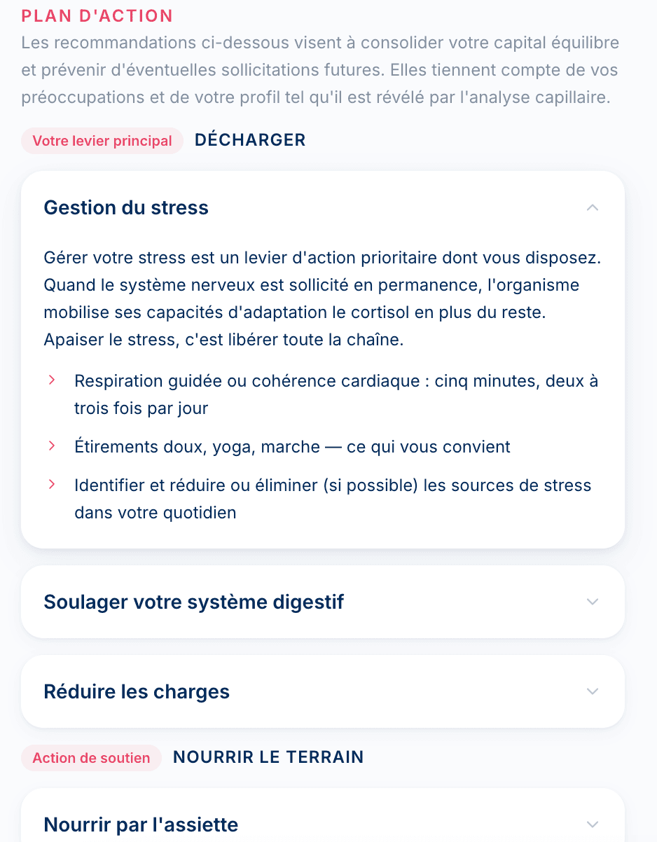Plan d'action